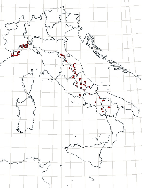 Distribuzione Euphydryas aurinia